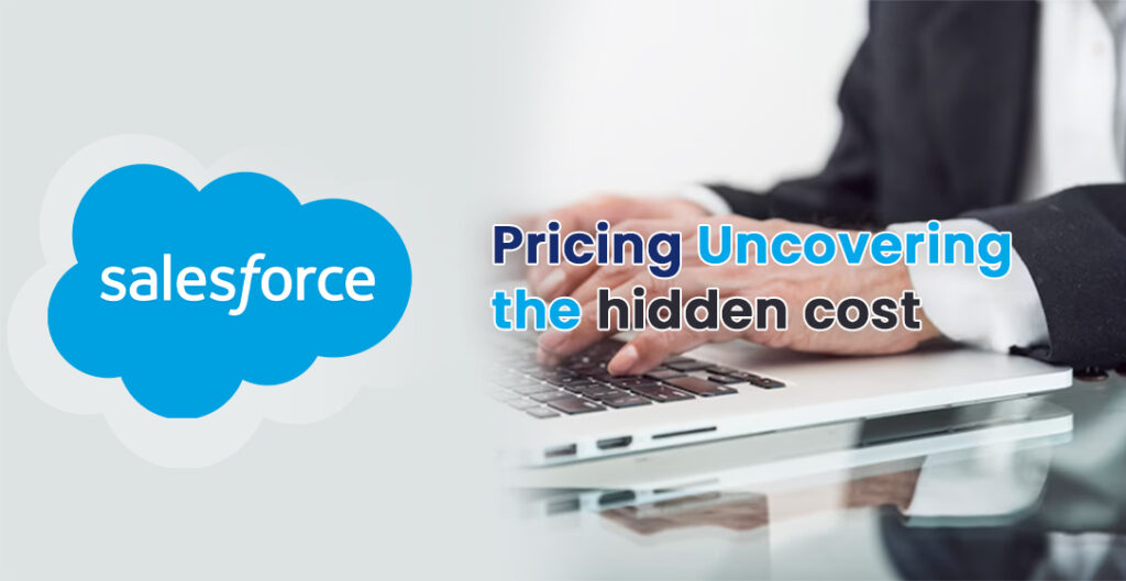 Salesforce products licenses cost